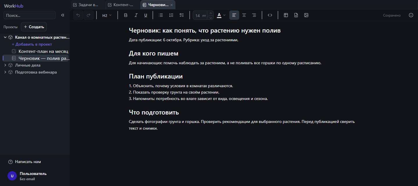 Заметка WorkHub с черновиком публикации о поливе: аудитория, план текста и список материалов